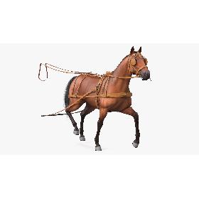 Horse Drawn Leather Single Driving Harness Walking Pose Fur 3D model